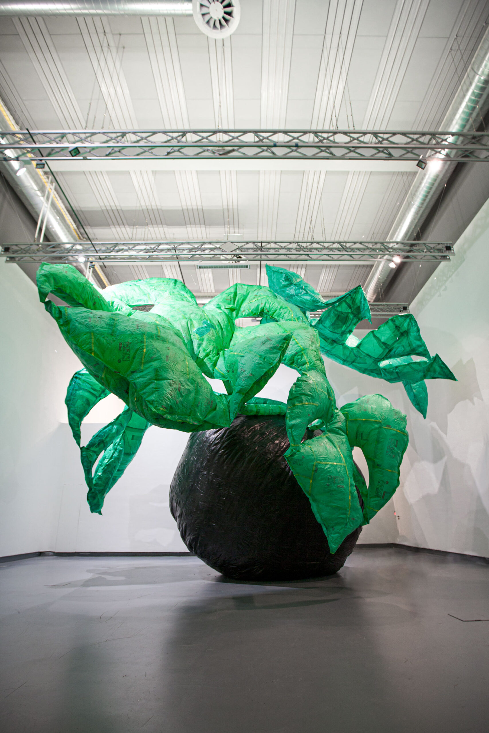 Taemen-Jung_alles,-was-ich-habe,-trag-ich-bei-mir-3