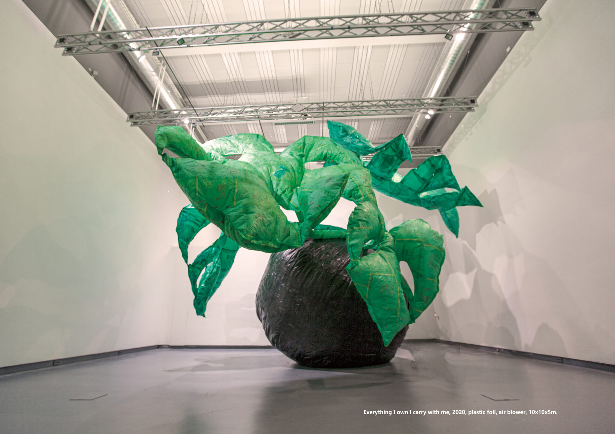 Taemen Jung-Everything I own I carry with me, 2020