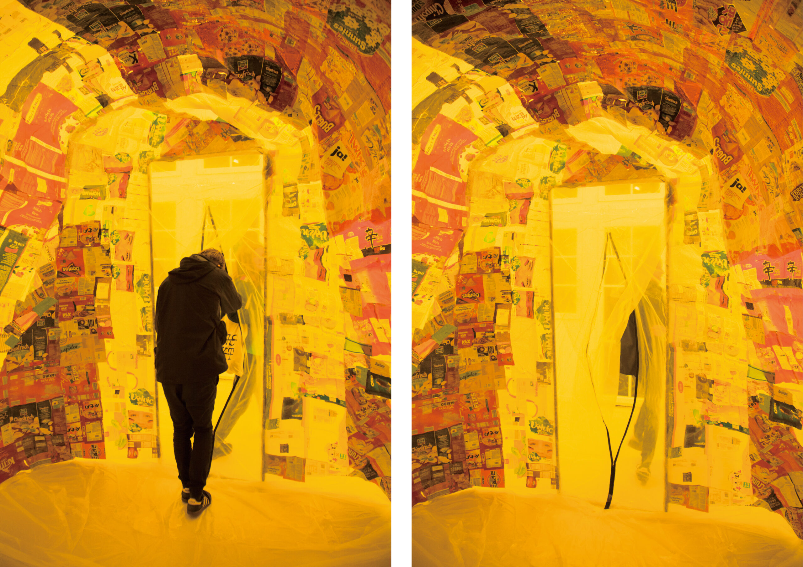 Taemen Jung-Nest 3_2, 2019