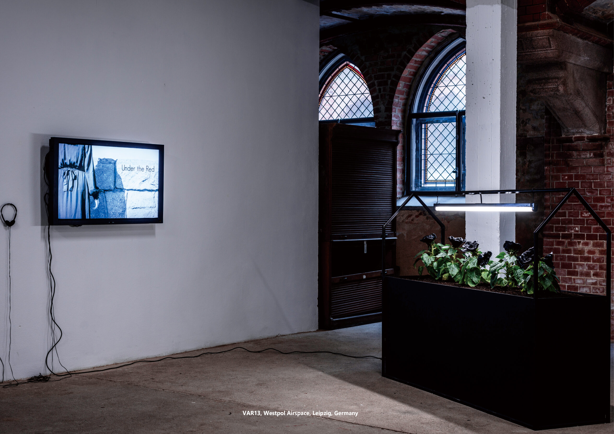 Taemen Jung-Var13, 2019