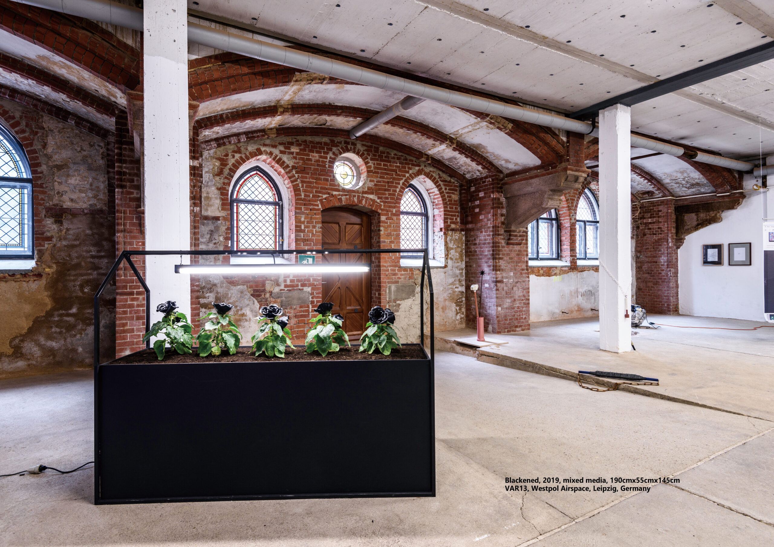 Taemen Jung-Var13_1, 2019