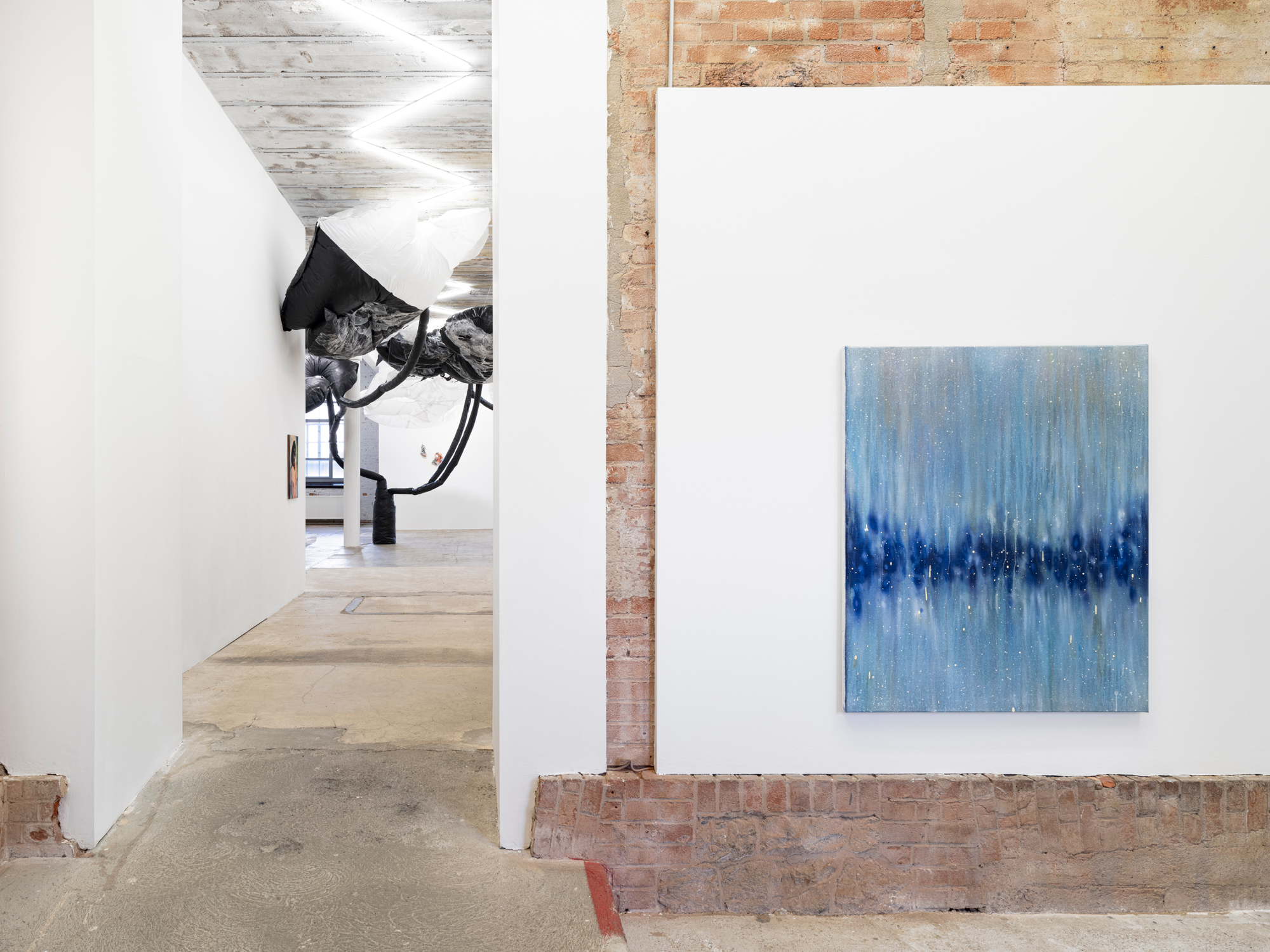 taemen-Jung-reiter-galerie11