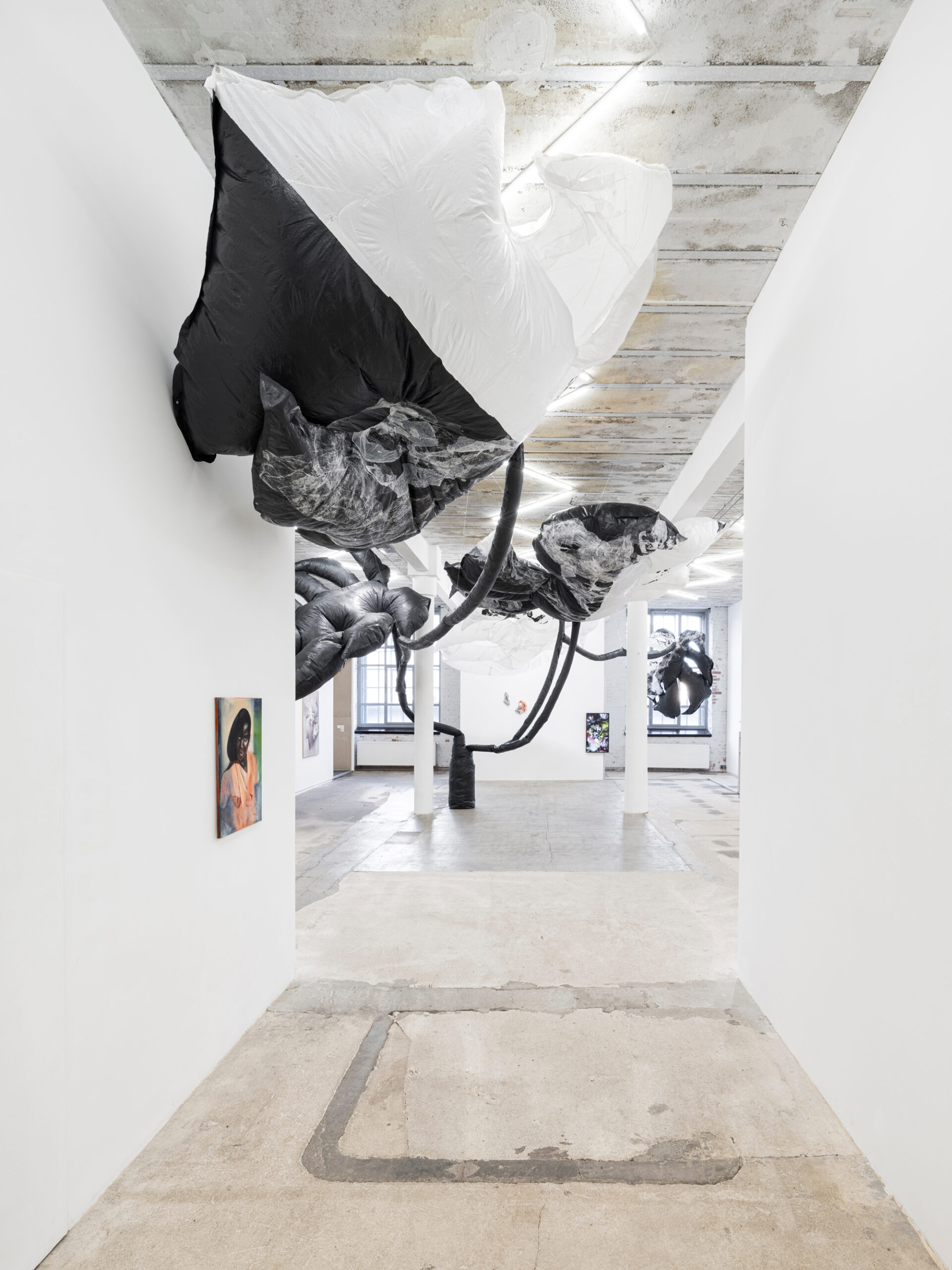 taemen-Jung-reiter-galerie2