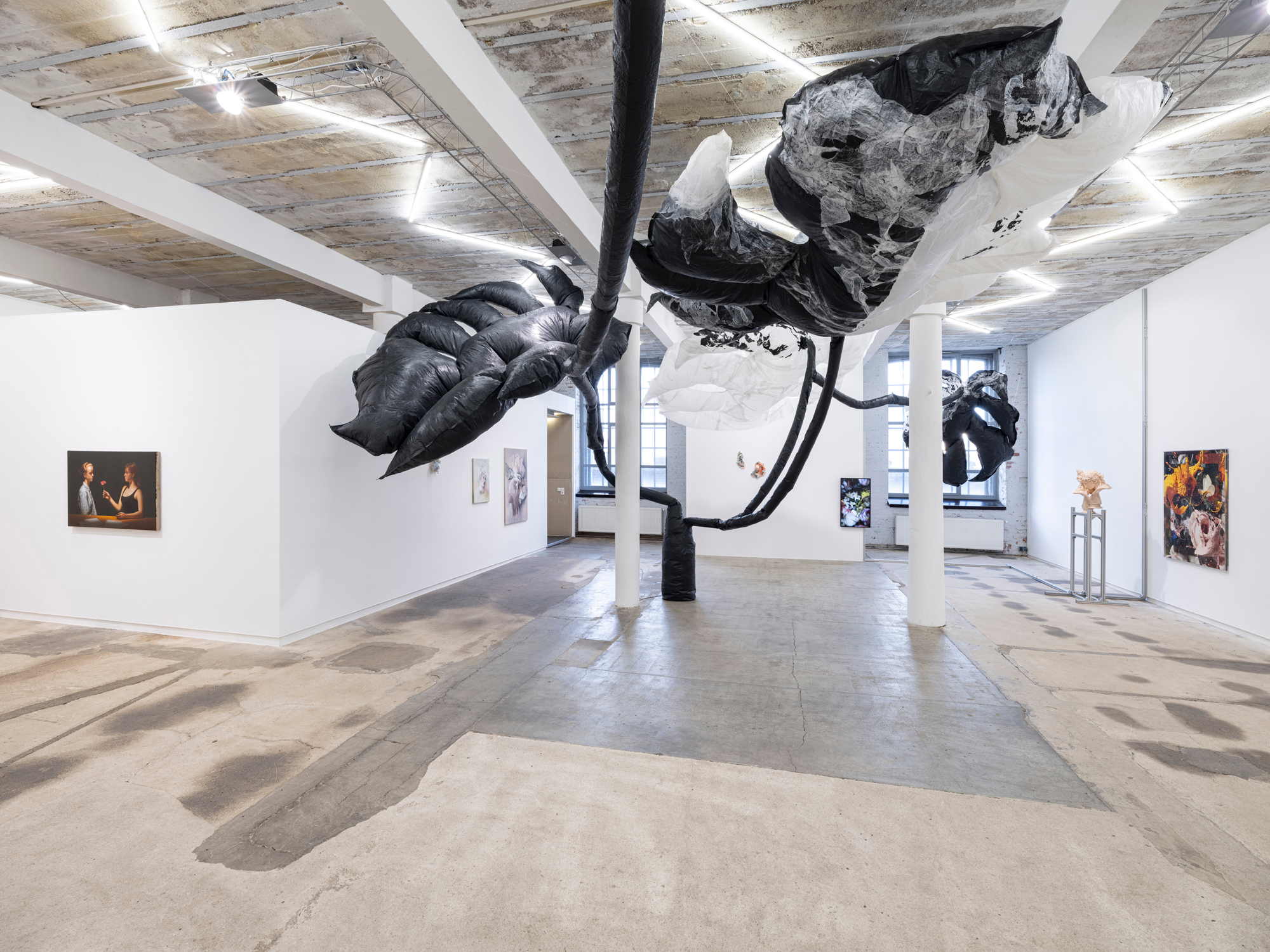taemen-Jung-reiter-galerie3