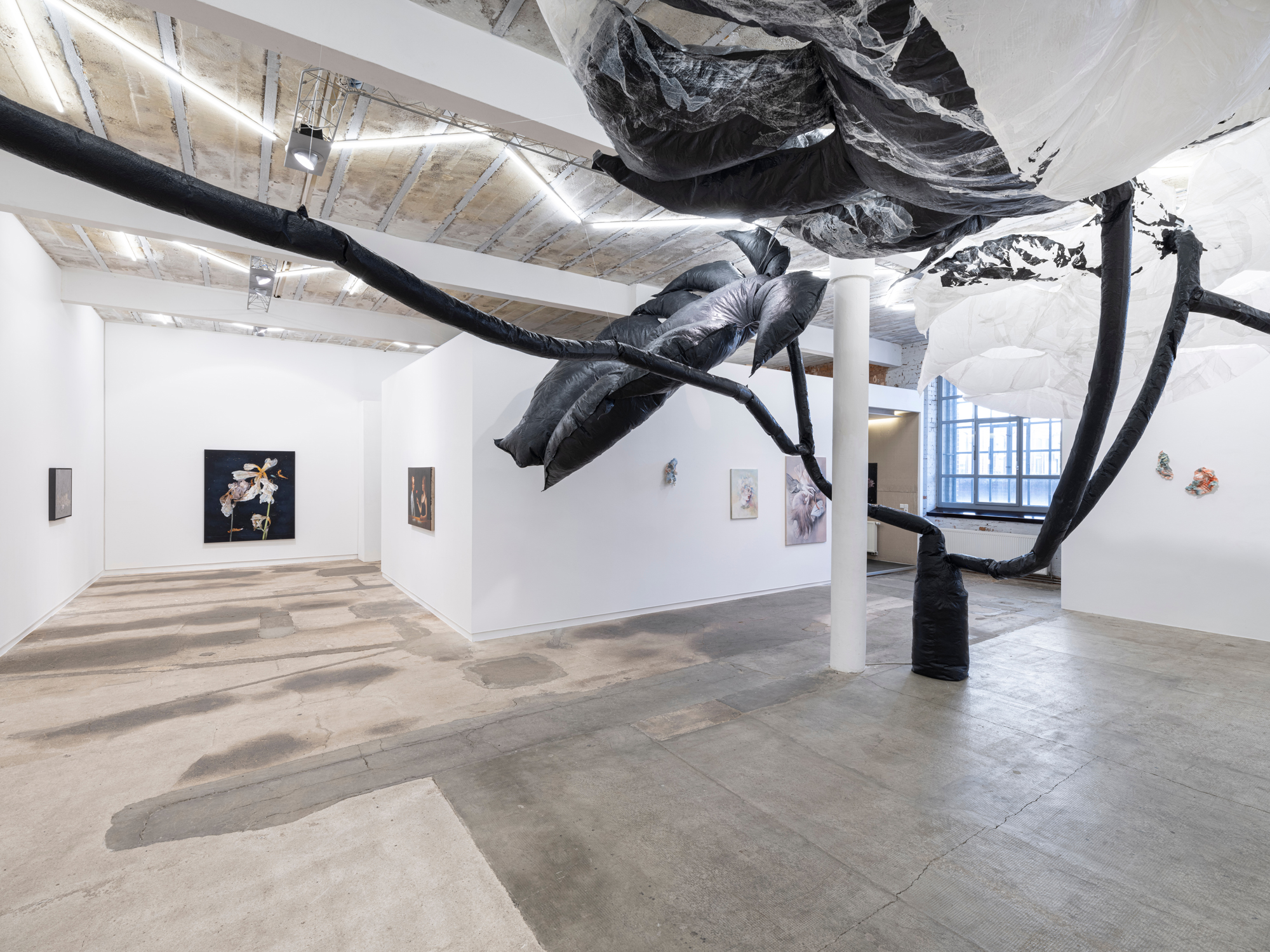 taemen-Jung-reiter-galerie5