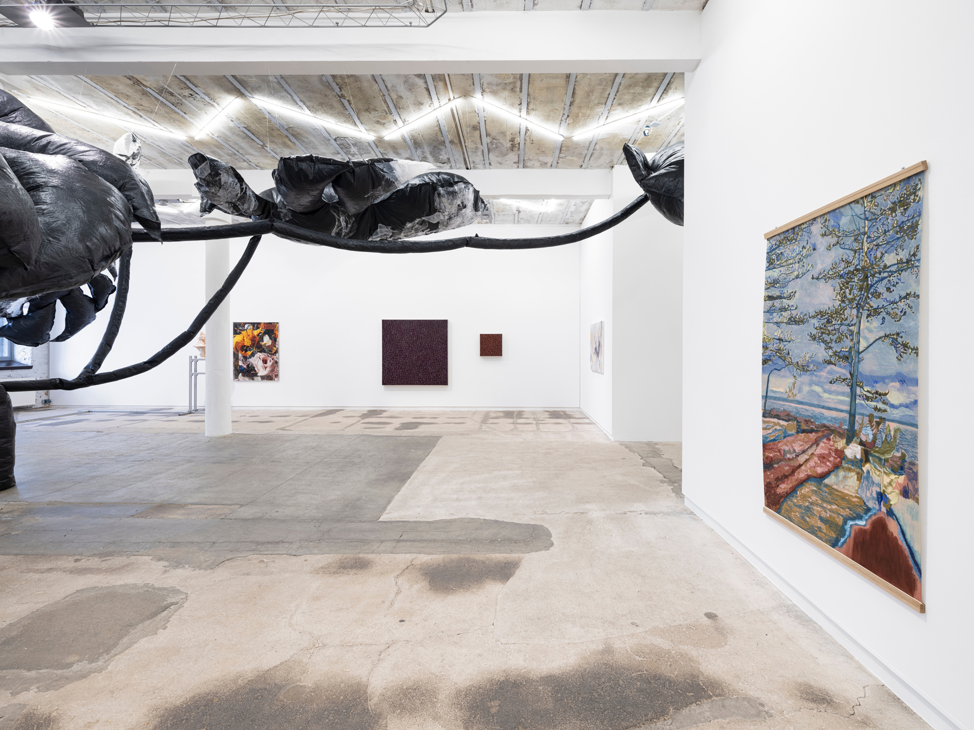 taemen-Jung-reiter-galerie6