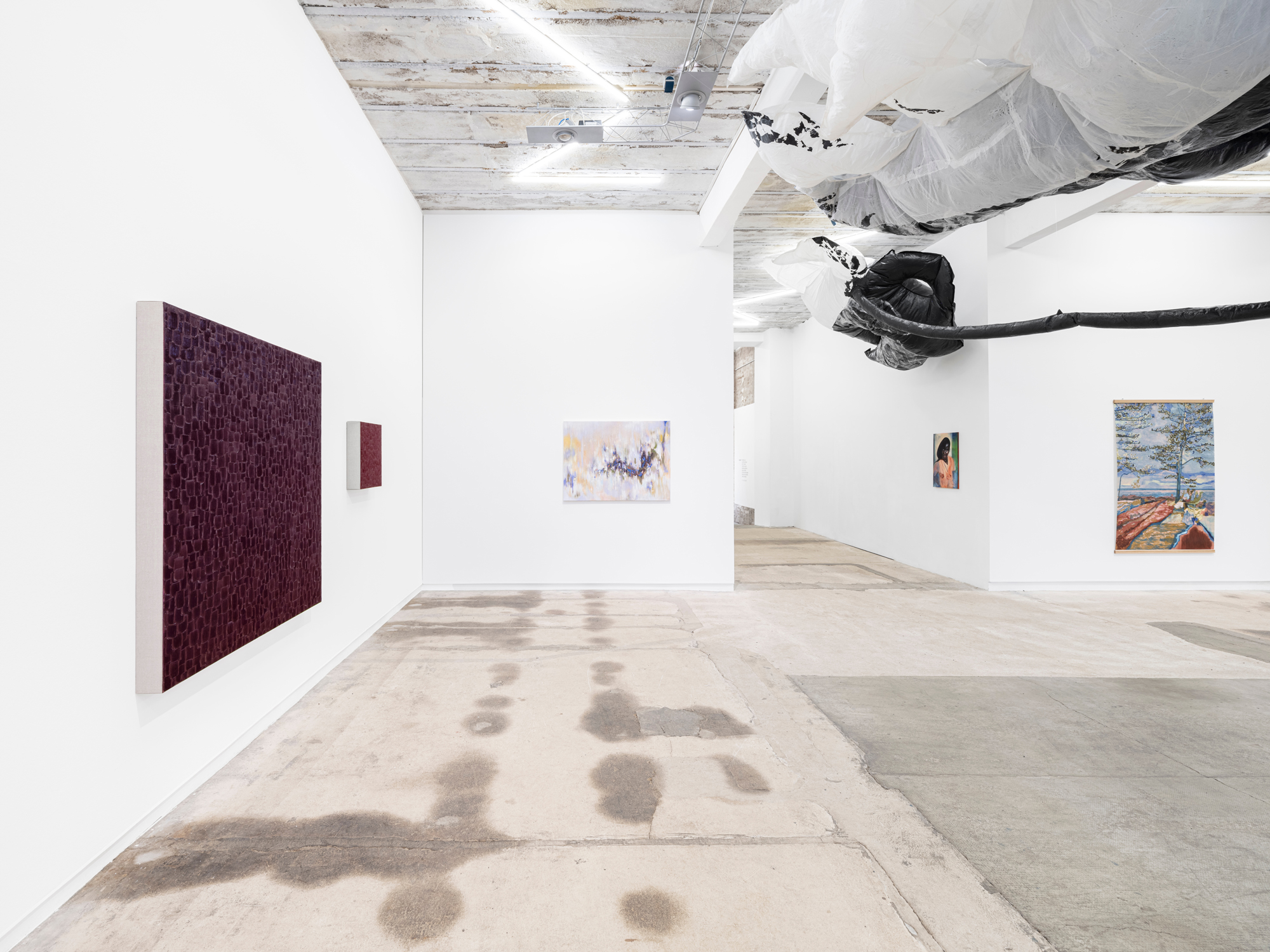 taemen-Jung-reiter-galerie7