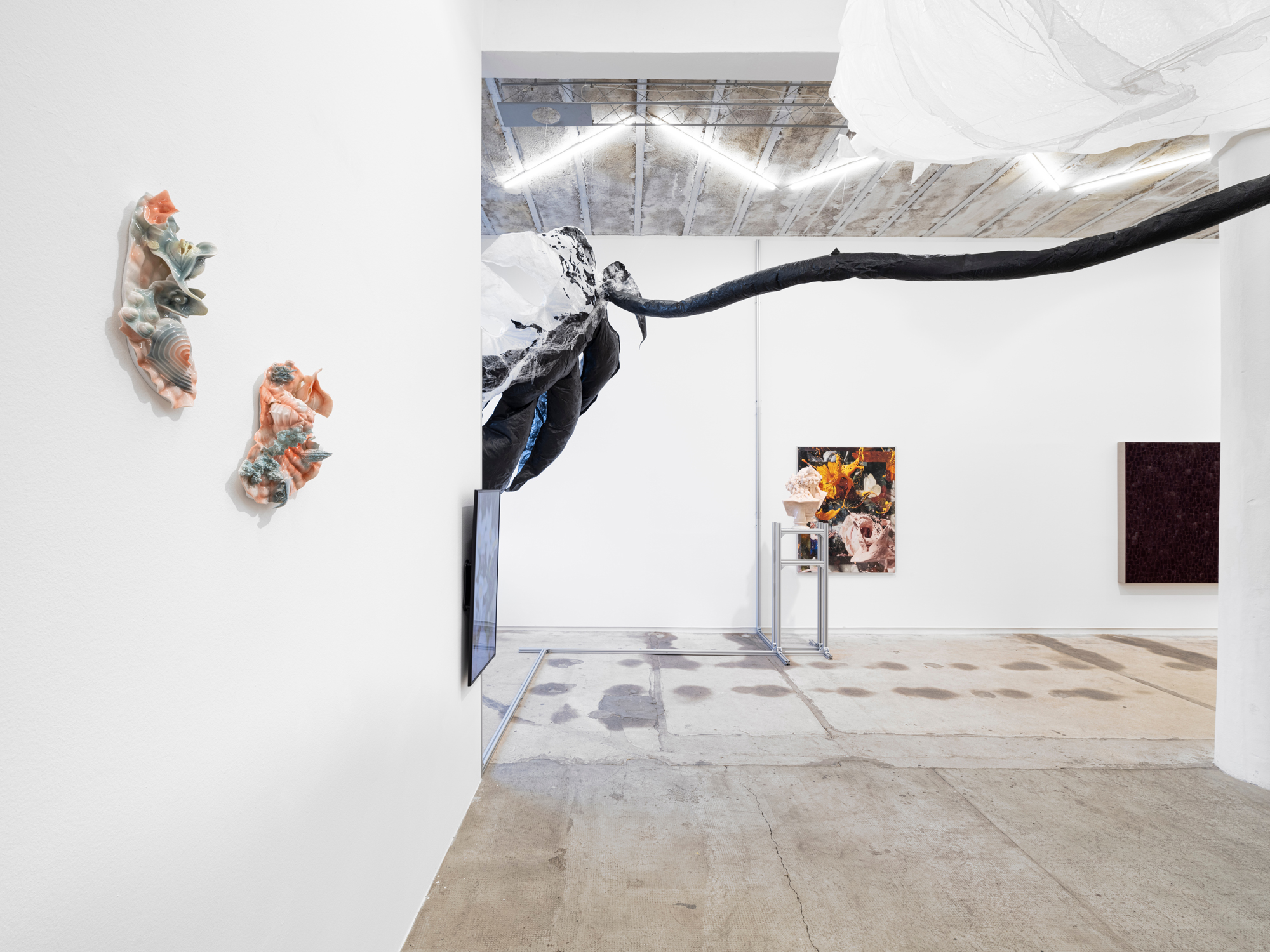 taemen-Jung-reiter-galerie8