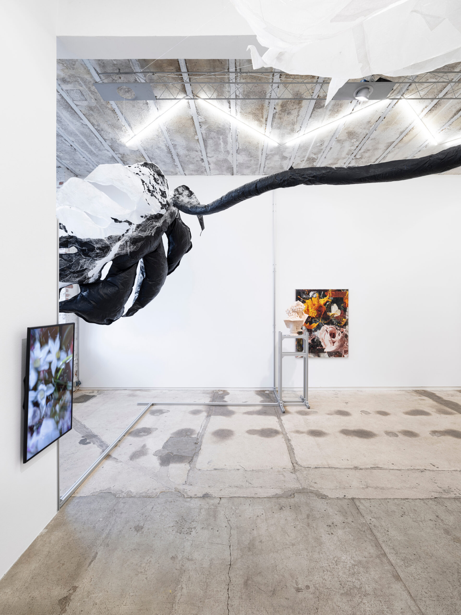 taemen-Jung-reiter-galerie9