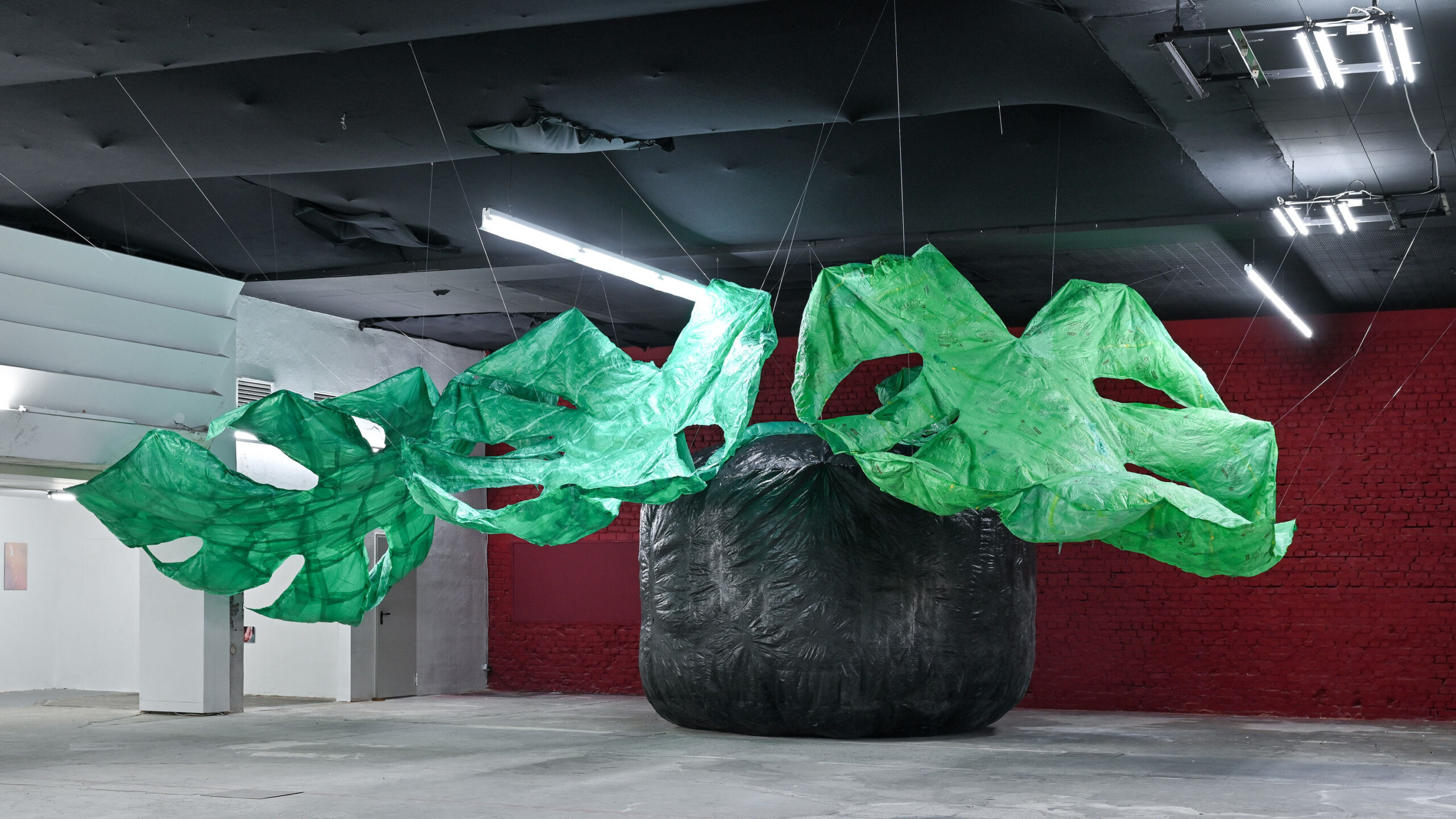 DAZUGEHÖREN! Kunsthaus Dresden Ausstellungsdokumentation