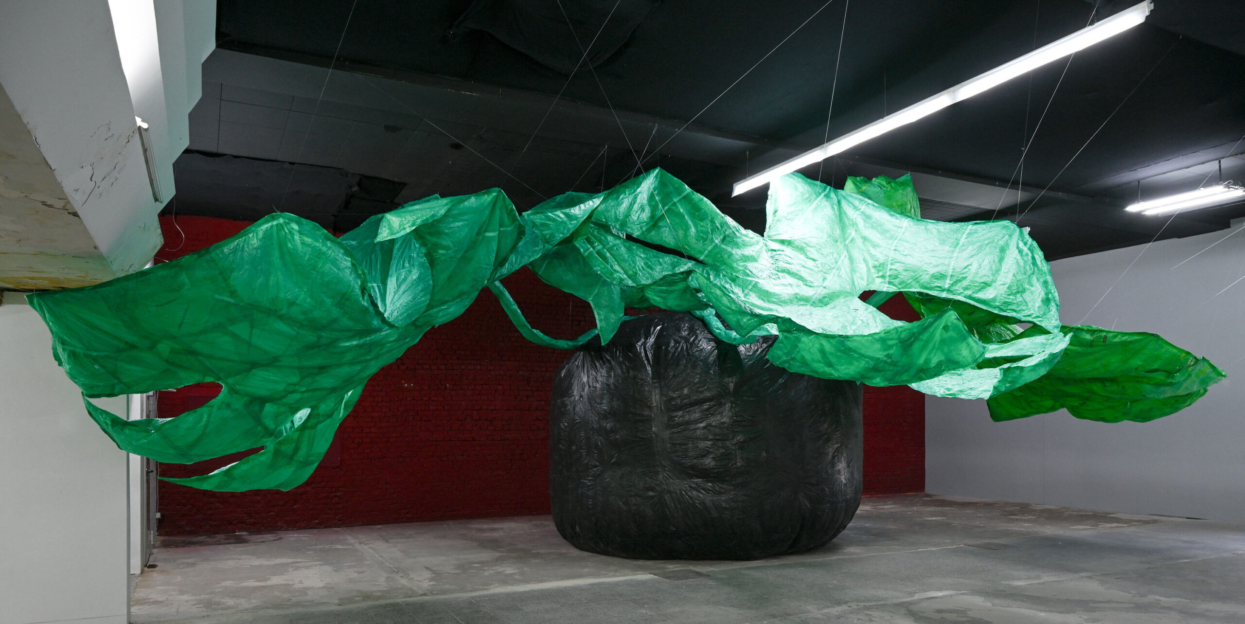 DAZUGEHÖREN! Kunsthaus Dresden Ausstellungsdokumentation