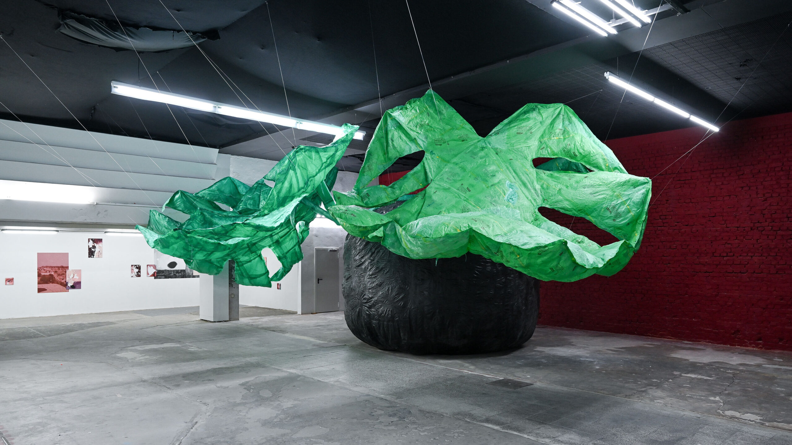 DAZUGEHÖREN! Kunsthaus Dresden Ausstellungsdokumentation