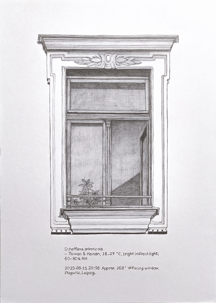 Price of Sunlight 10, 2025 Pencil on paper 15 × 20 cm