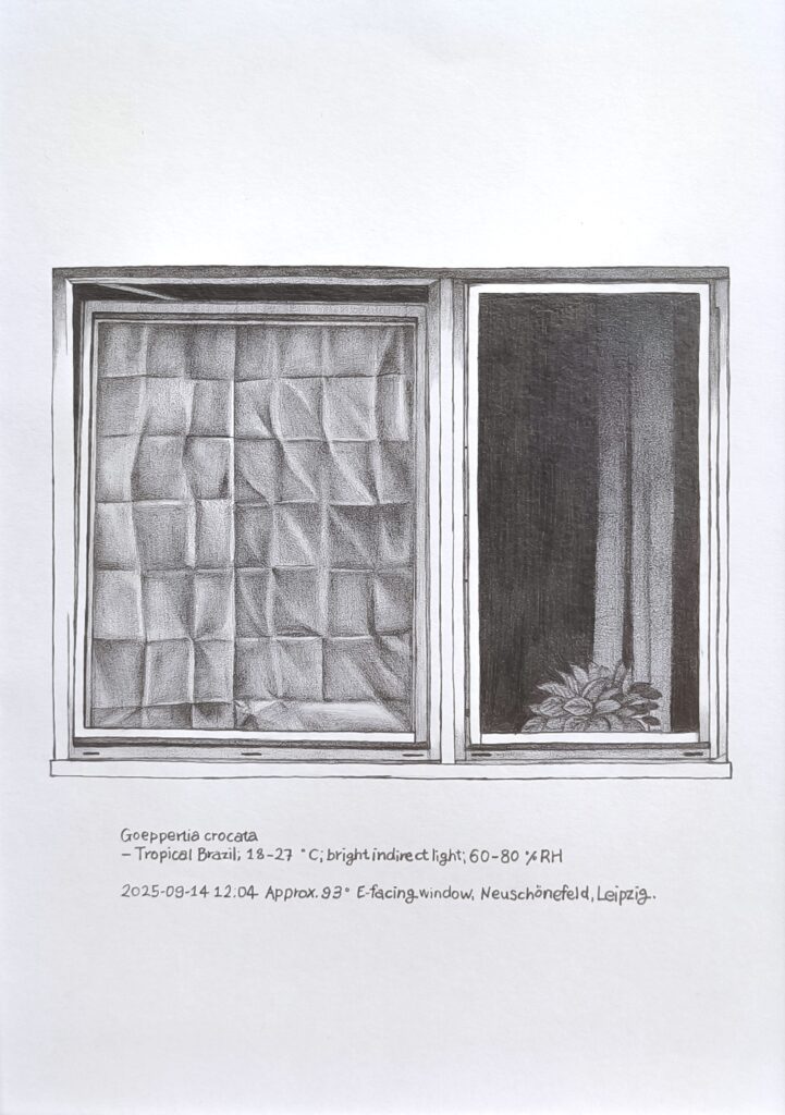 Price of Sunlight 17, 2025 Pencil on paper 15 × 20 cm