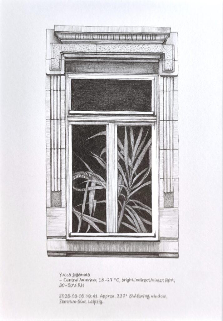 Price of Sunlight 18, 2025 Pencil on paper 15 × 20 cm