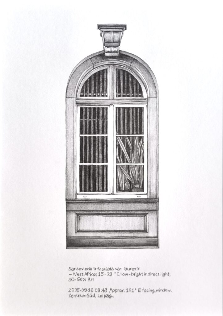 Price of Sunlight 19, 2025 Pencil on paper 15 × 20 cm