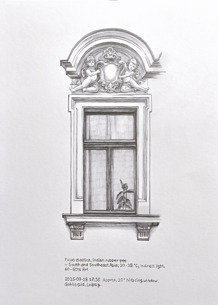 Price of Sunlight 2, 2025 Pencil on paper 15 × 20 cm