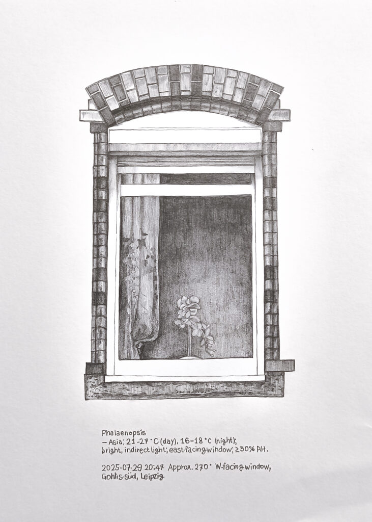 Price of Sunlight 5, 2025 Pencil on paper 15 × 20 cm