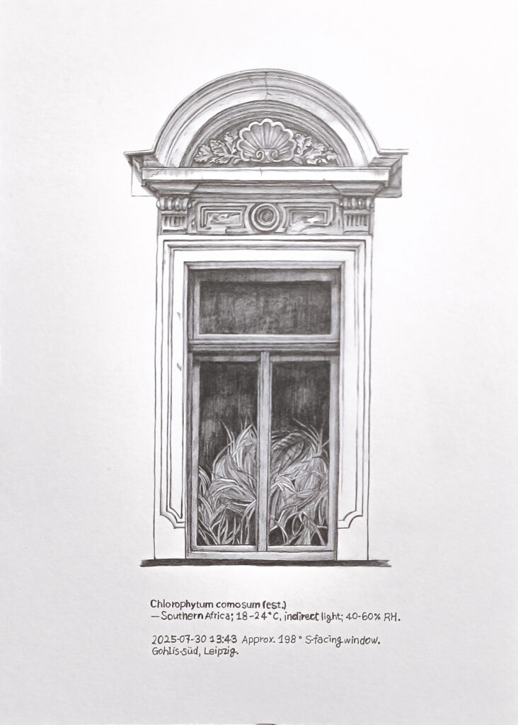 Price of Sunlight 7, 2025 Pencil on paper 15 × 20 cm