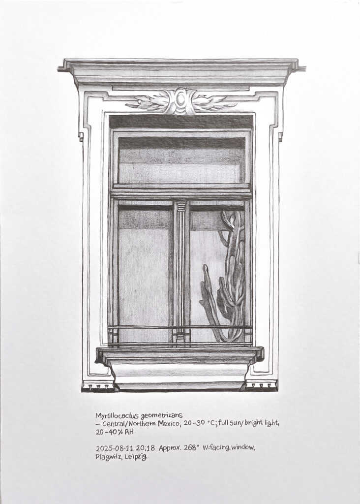 Price of Sunlight 9, 2025 Pencil on paper 15 × 20 cm